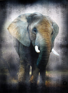Elephant Portrait  ( 15.8" x 23.6" )