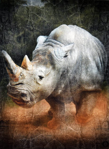 Rhino Portrait ( 15.8" x 23.6" )