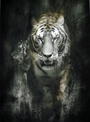 Tiger Portrait ( 15.8" x 23.6" )